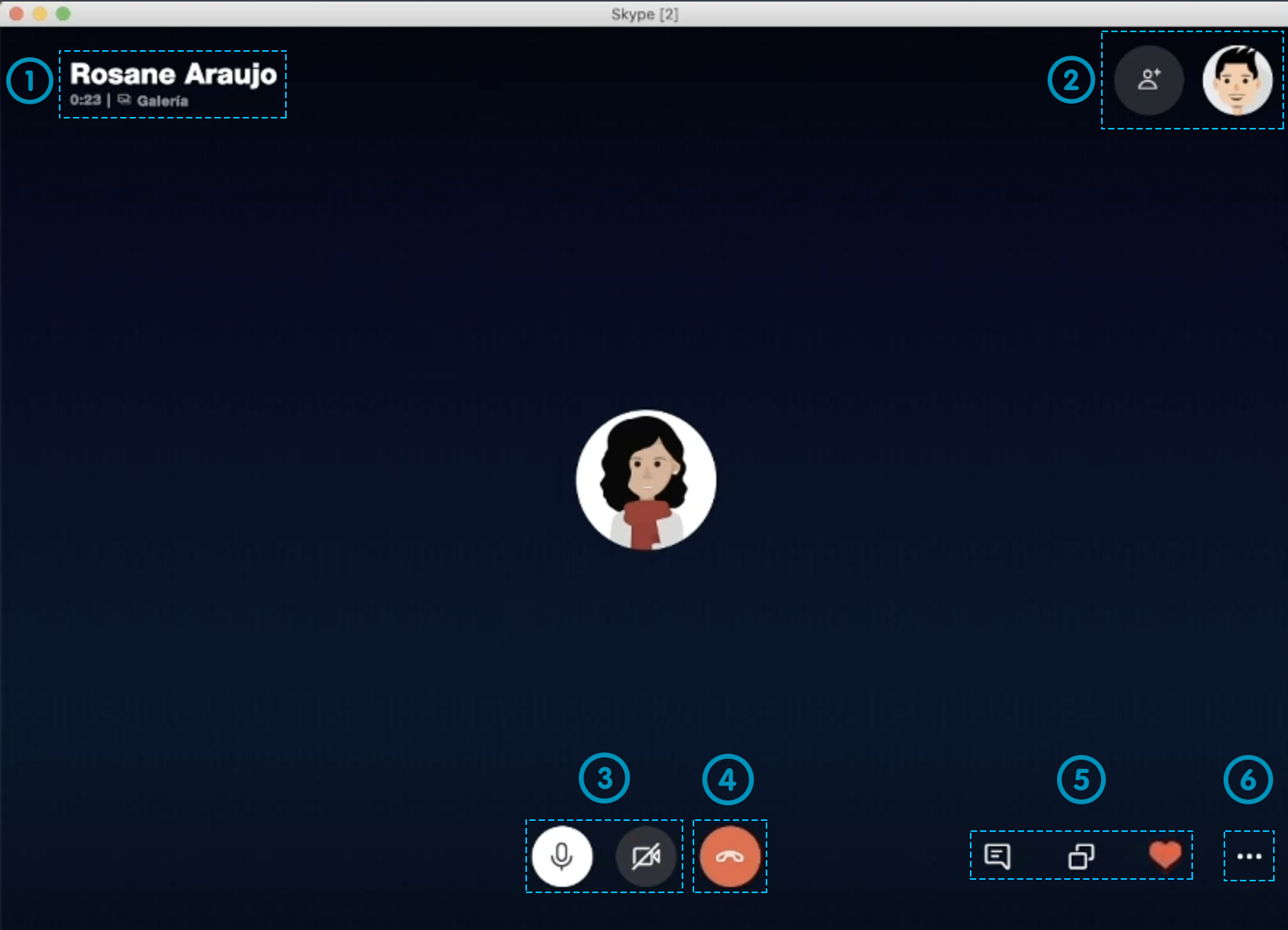 Funciones en llamadas de Skype